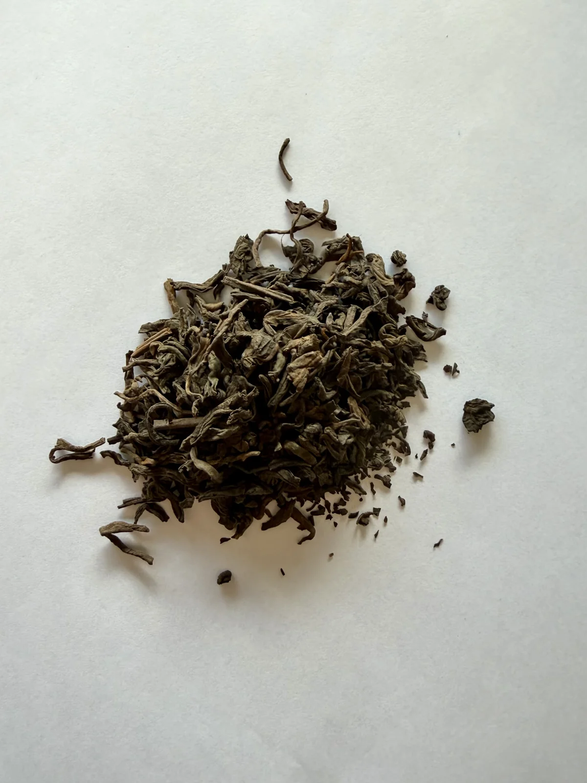 Pu Erh BIO von Tee Zwanck — Bild 2
